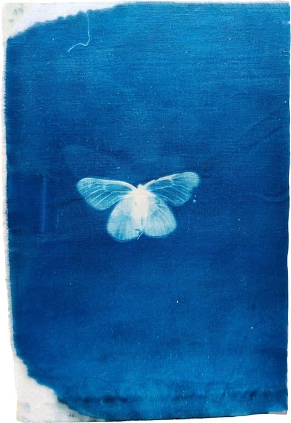 В «Индустрии» представят «Синдром Офелии»