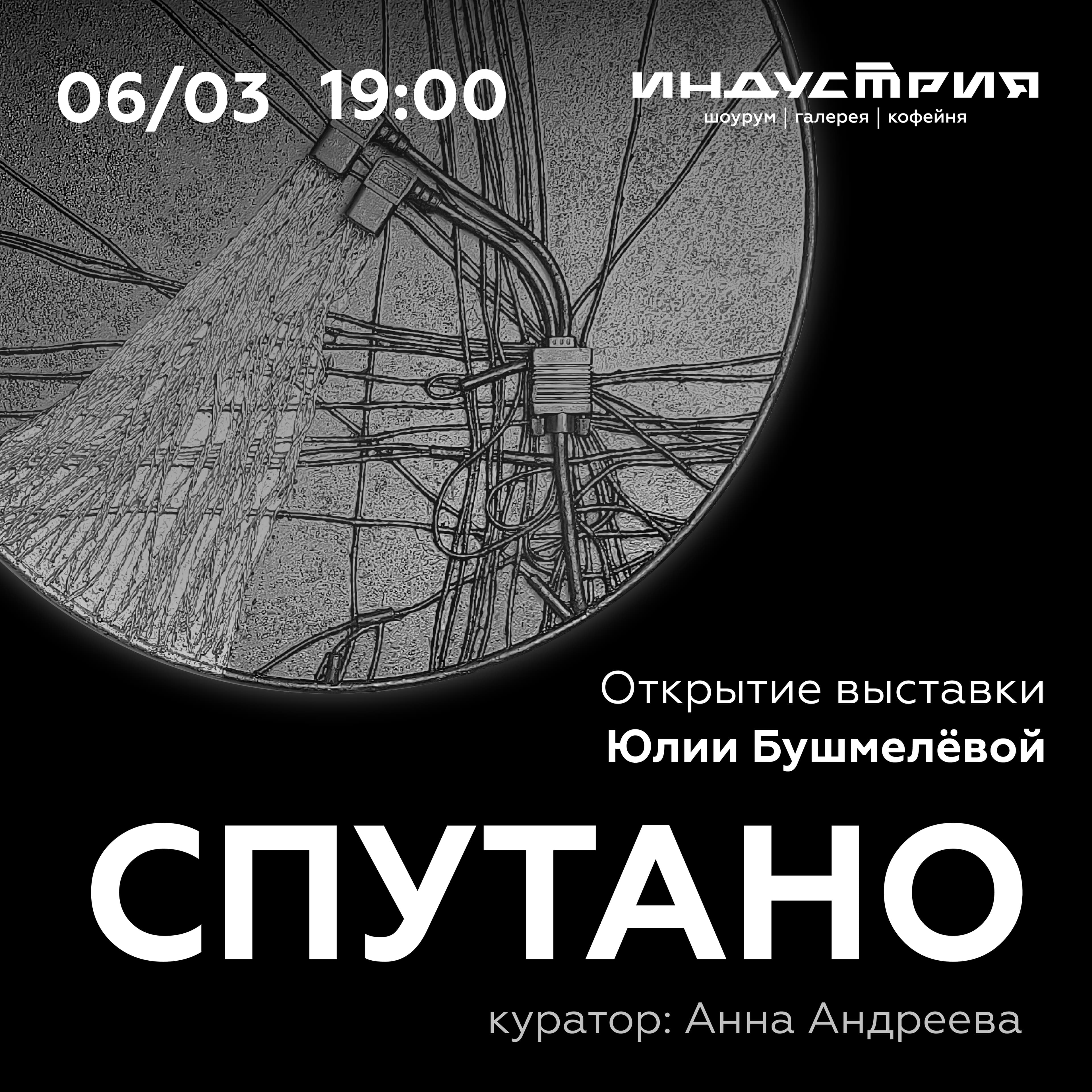 Приглашаем на открытие выставки Юлии Бушмелёвой «Спутано»